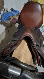 sella da salto antares