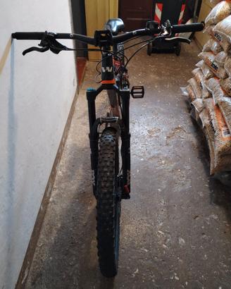 E BIKE