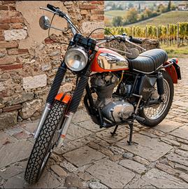 Ducati scrambler 350