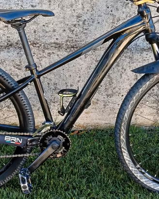 Orbea mx
