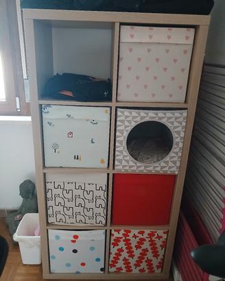 libreria a cubi