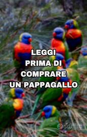 Pappagallo