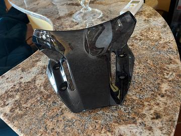 Cupolino - parabrezza mt-09