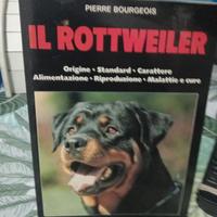 Il ROTTOWEILER