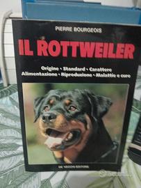 Il ROTTOWEILER