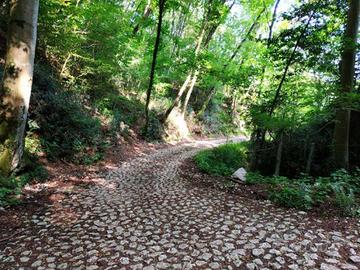 Terreno boschivo a polcenigo