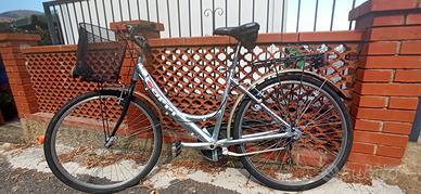 bicicletta da passeggio Coppi holland