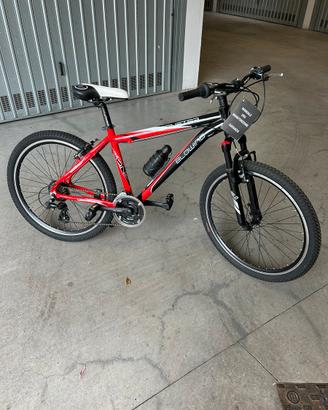 Rampichino/bicicletta Blowind Hornet SR misura 26