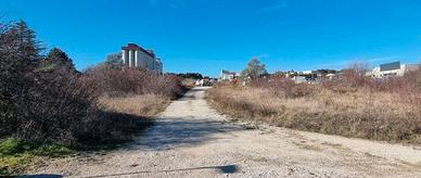 RGE 54/2023 Trib Campobasso