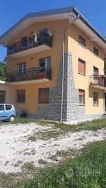 Concedo