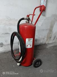 Estintore a polvere carrellato capacità 50 Kg