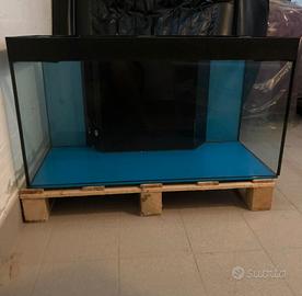 Acquario in vetro