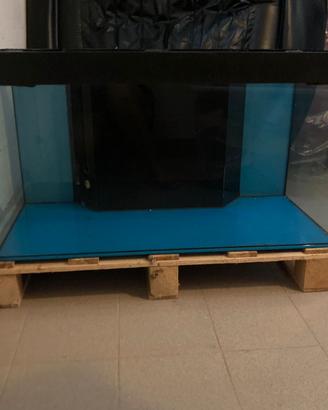Acquario in vetro