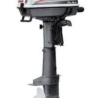 Motore fuoribordo Selva Sea Bass 4 cavalli