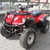 Quad usato Adly 300 2x4