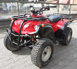 Quad usato Adly 300 2x4