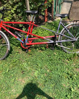 Tandem