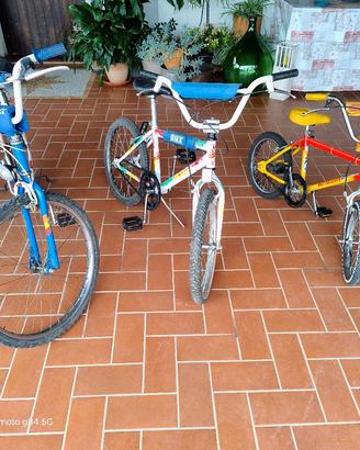 3 modelli bmx piccola media grande
