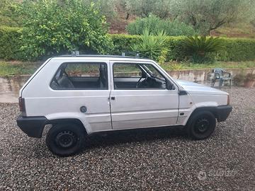 panda 141