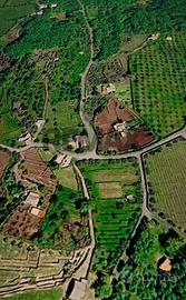 Terreno - Randazzo