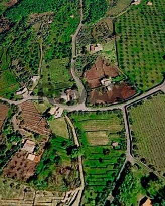 Terreno - Randazzo