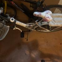 Bicicletta da adolescente ragazza Frera