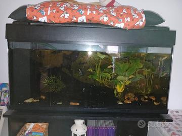 Acquario 180/200 lt