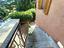 Immagine 29