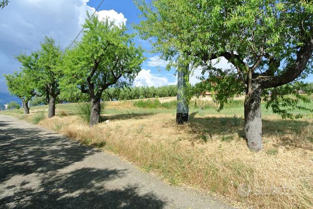 TERRENO AGRICOLO PIANEGGIANTE