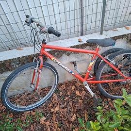 bicicletta bambino 