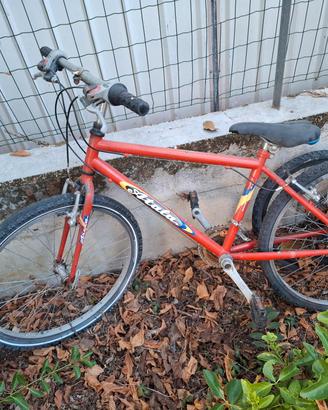 bicicletta bambino 