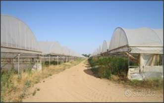 Terreno Agricolo a Sabaudia