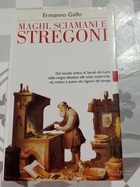 Libro Maghi sciamani e stregoni