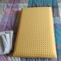 Cuscino 60x40x9 più due copri aloe vera