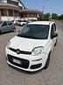 fiat-panda-1-0-gse-s-s-hybrid-pop-van-2-posti