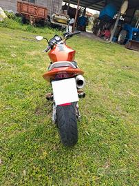Hornet 600
