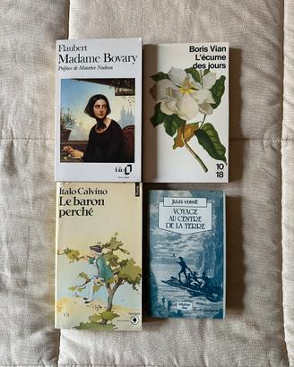 Libri narrativa francese