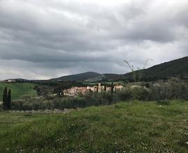 Bilocale con giardino a Pomaia