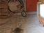 Immagine 22