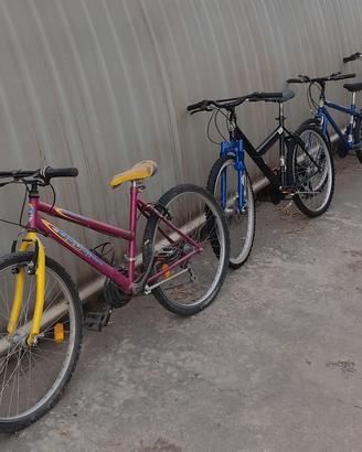 bici 26 24 e bici  pieghevole tipo Graziella 20 