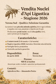Nuclei di api ligustiche su 5 telaini - Verona Sud