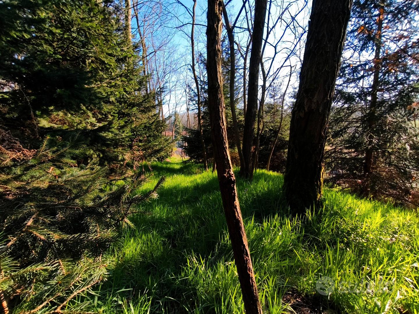 Terreno agricolo boschivo, 5780 m² - Vista 5