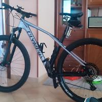 MTB OLYMPIA IRON
