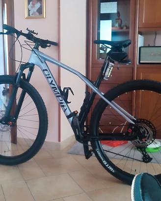 MTB OLYMPIA IRON