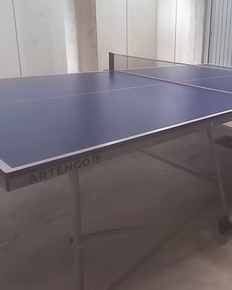 Tavolo da ping pong