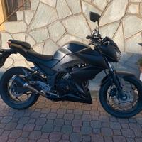 Z300