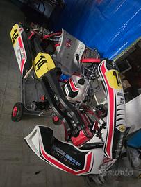 telaio kart kz cl birelart 