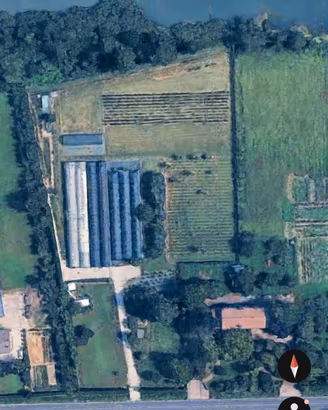 VIVAIO AVVIATO con POSSIBILITÀ DI EDIFICARE