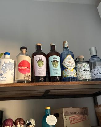 Lotto 15 bottiglie Gin vuote