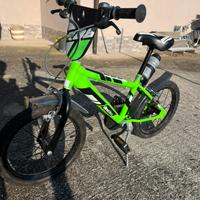 Bibicletta bambino Dinobike 16”